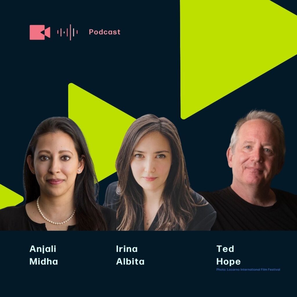 Reimagine the Greenlight featuring Ted Hope, Irina Albita and Anjali Midha