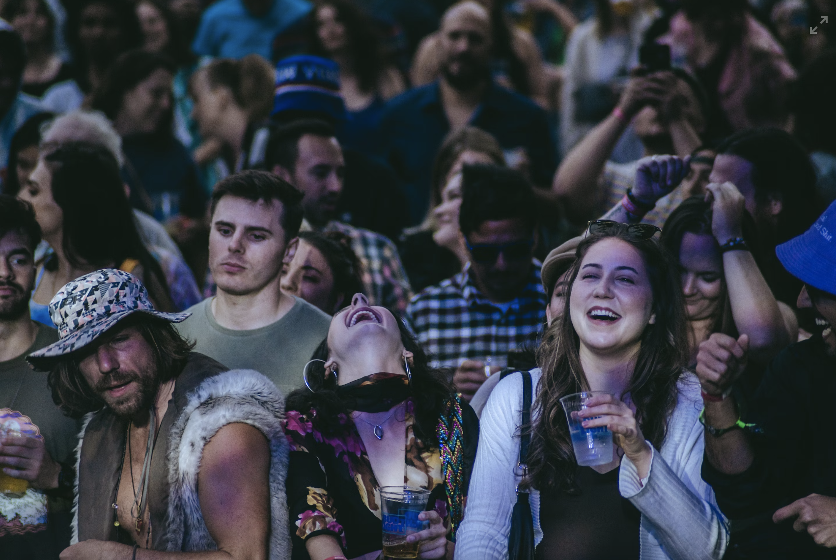 fans at a concert