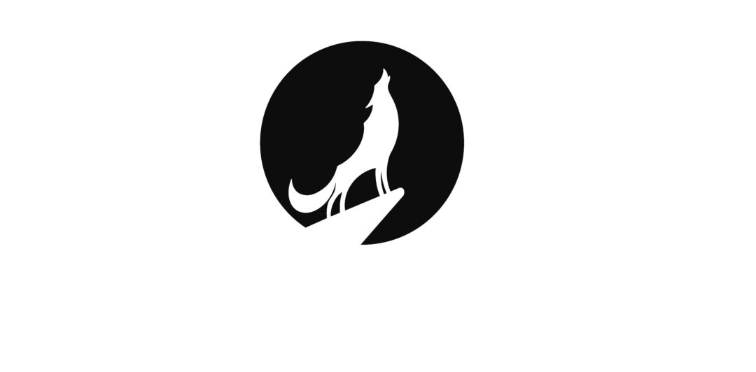 Selecta Vision